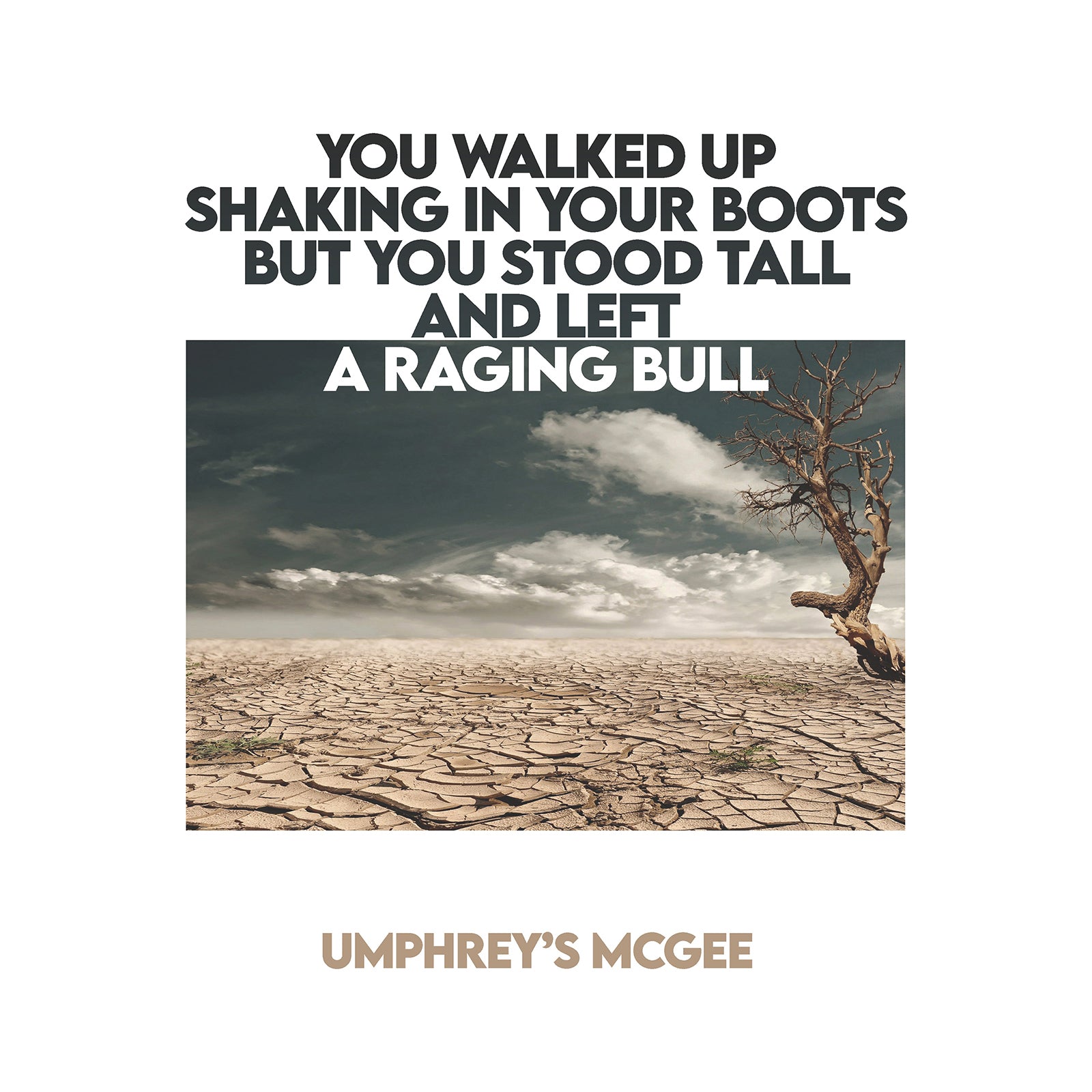 Umphrey's McGee - You Walked Up Shaking In Your Boots (New Vinyl)