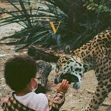 Unknown Mortal Orchestra - V (New Cassette)