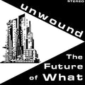 Unwound - Future Of What (New Cassette)