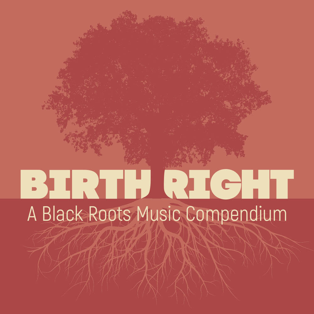 Various Artists - Birthright: A Black Roots Music Compendium (2CDs) (New CD)