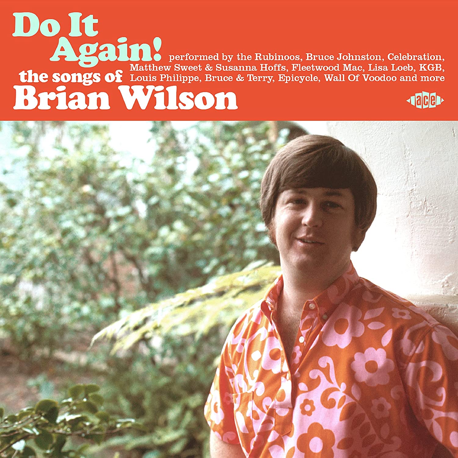 Various Artists - Do It Again! The Songs of Brian Wilson (New CD)