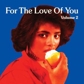 Various Artists - For The Love Of You Vol. 2 (New Vinyl)
