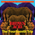 Various - Brown Acid Brown Acid: The Fourteenth Trip (Heavy Rock From The Underground Comedown) (New CD)
