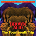 Various - Brown Acid: The Fourteenth Trip (New Vinyl)