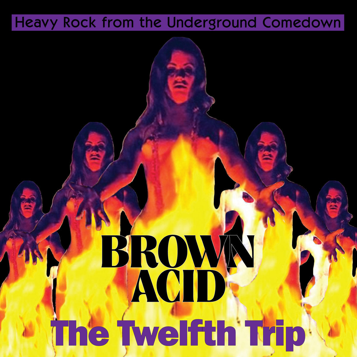 Various - Brown Acid Vol. 12 (New CD)