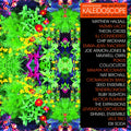 Various-kaleidoscope-new-spirts-known-and-unknown-new-vinyl