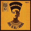 Various-love-is-all-i-bring-new-vinyl