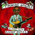 Various-strange-angels-in-flight-with-new-vinyl