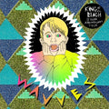 Wavves-king-of-the-beach-10-year-anniversary-with-bonus-7-new-vinyl