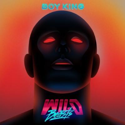 Wild-beasts-boy-king-new-vinyl