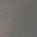 William-basinski-laurence-english-selva-oscura-new-vinyl