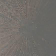 William-basinski-laurence-english-selva-oscura-new-vinyl