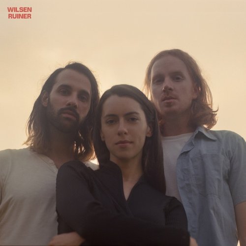 Wilsen-ruiner-new-vinyl