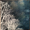 Wintersleep-wintersleep-new-vinyl