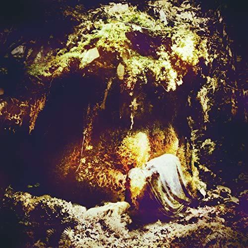 Wolves-in-the-throne-room-celestial-lineage-new-vinyl