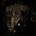 Wolves In The Throne Room - Two Hunters (New CD)