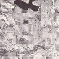 Women - Rarities 2007-2010 (New Vinyl)
