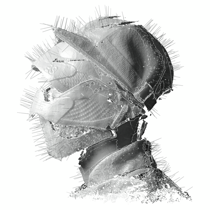 Woodkid - The Golden Age (2LP) (New Vinyl)