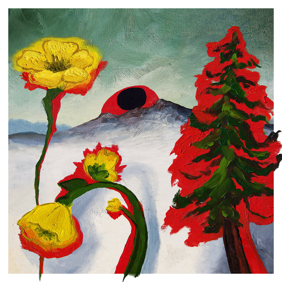 Woods-strange-to-explain-new-cd