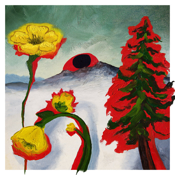Woods-strange-to-explain-new-vinyl