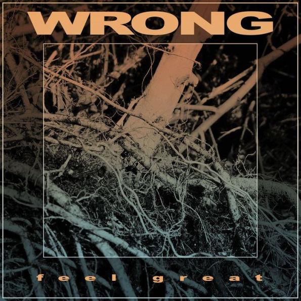 Wrong-feel-great-new-vinyl