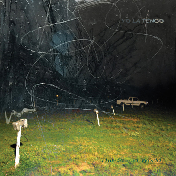 Yo La Tengo - This Stupid World (New Vinyl)
