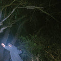 Young Prisms - In Between (10th Anniversary Blue LP) (New Vinyl)