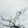 Yutaka-hirose-nova-4-new-vinyl
