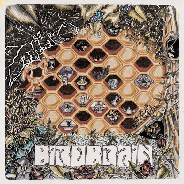 Zuffalo - Birdbrain (New Vinyl)