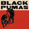 Black Pumas - Black Pumas (2LP Deluxe Edition) (New Vinyl)