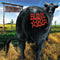 Blink-182-dude-ranch-new-vinyl