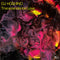 DJ Hoshino - Transcendental Love 12" (New Vinyl)