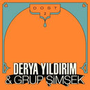 Derya Yildirim & Grup Simsek - Dost 2 (New Vinyl)