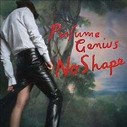 Perfume-genius-no-shape-new-cd