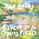 The Beths - Expert in a Dying Field (New CD)