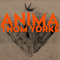 Thom Yorke - Anima (Ltd. Ed. Orange Vinyl)