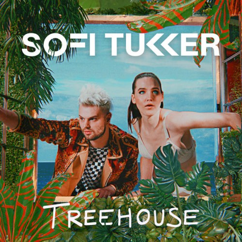 Sofi-tukker-treehouse-new-vinyl